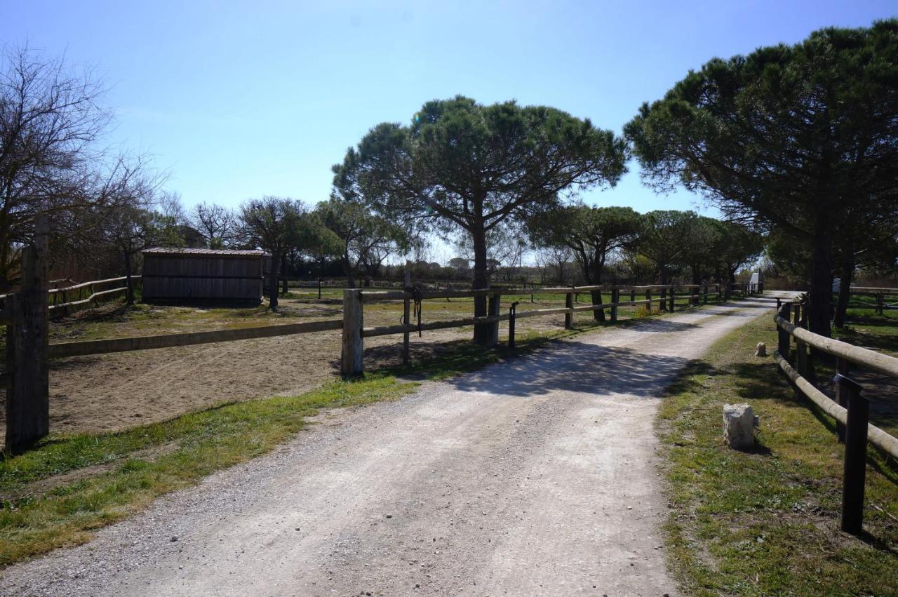 Gites Equestres Lou Caloun - Les Saintes Maries De La Mer Exteriér fotografie