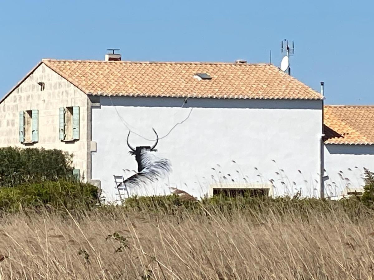 Gites Equestres Lou Caloun - Les Saintes Maries De La Mer Exteriér fotografie