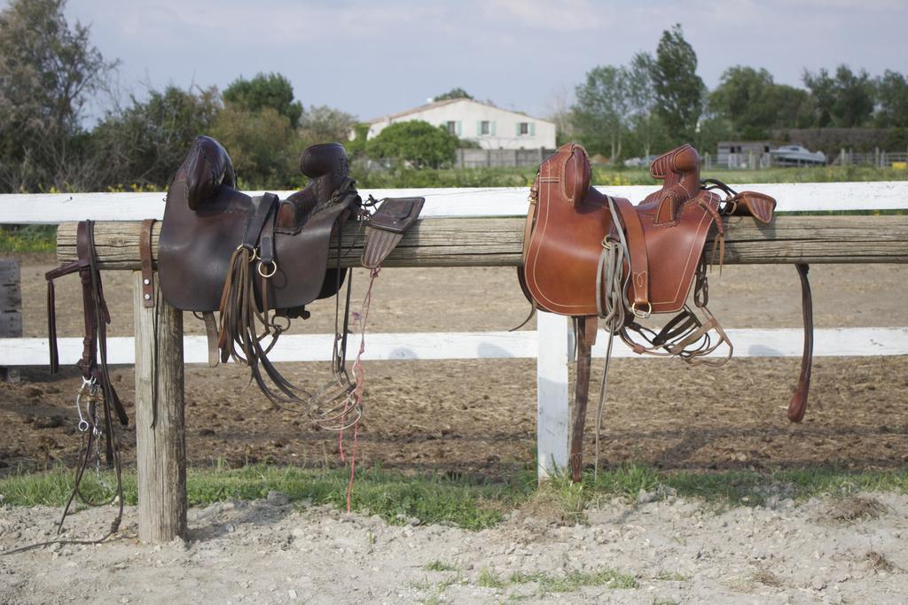 Gites Equestres Lou Caloun - Les Saintes Maries De La Mer Exteriér fotografie