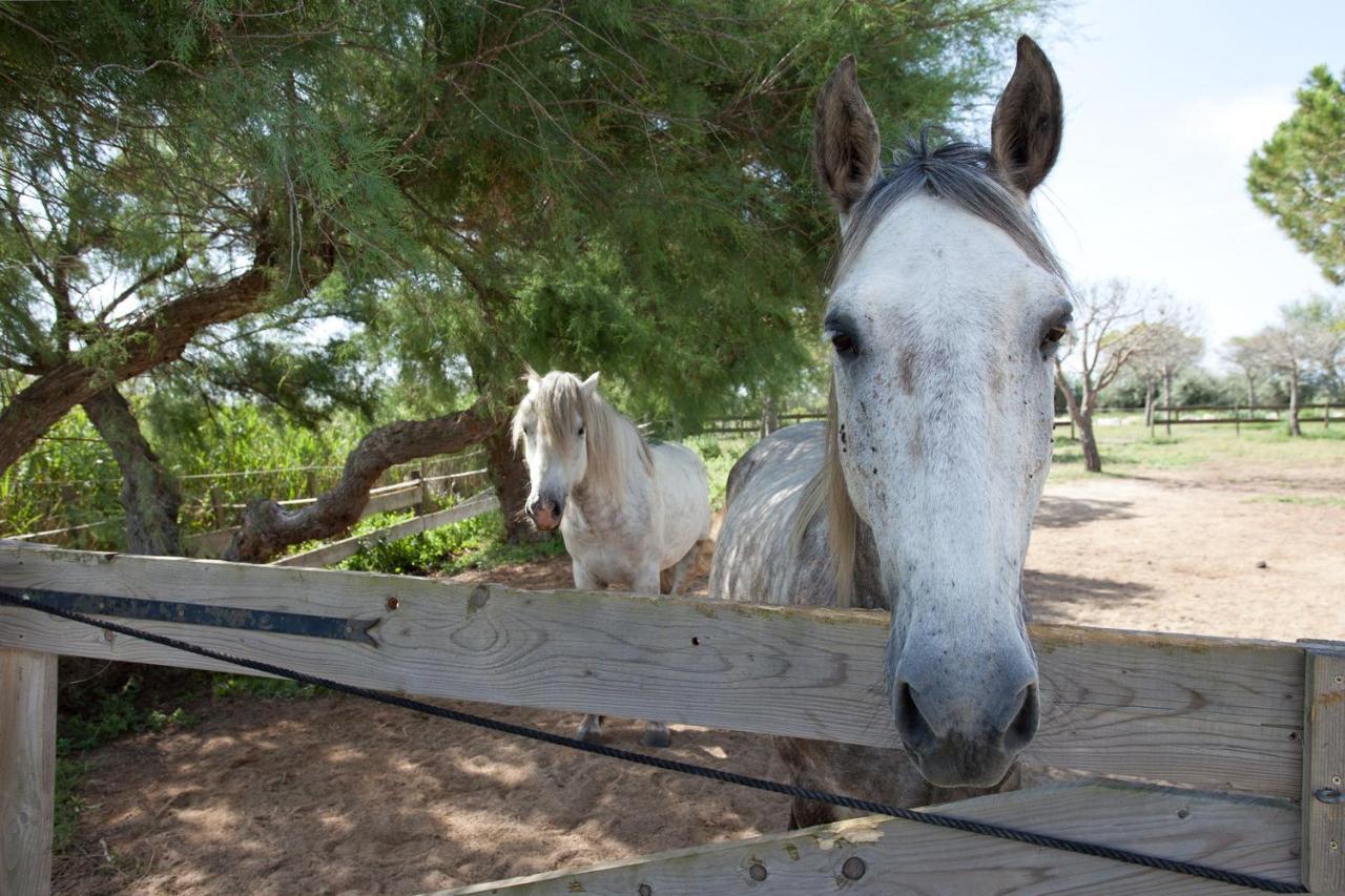 Gites Equestres Lou Caloun - Les Saintes Maries De La Mer Exteriér fotografie